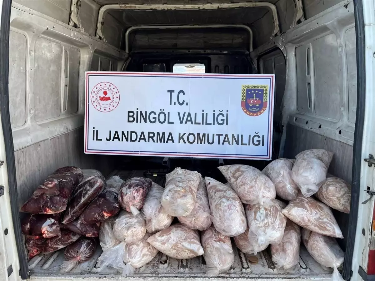 Bingöl’de 200 Kg Sakatata El Konuldu